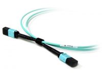 AC-FIB-PL-MPO-1M AccoNet Patch Lead 12core MPO Female to MPO Female 1m