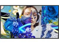 Hikvision DS-D6065UN-DP 65" 4K 3840x2160 Slim Digital Signage Display - 24/7, HDMI, DP