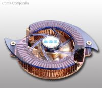 JACSD1 Gallery image 2 [Size: 484 (W) x 419 (H)]