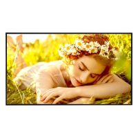 LG UL5QE 75" 4K UHD Signage Display
