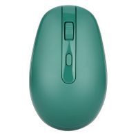 Rii RM700 2.4G Soft Click Green Wireless Mouse With Nano USB