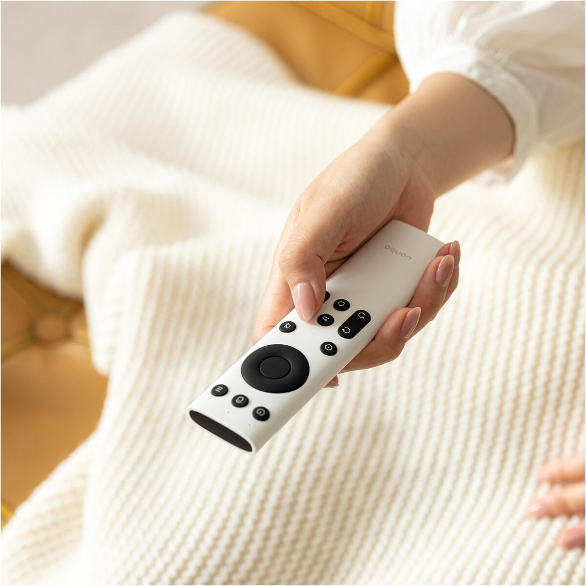 WANBO-IR-REMOTE