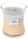 5038581054360 Yankee Woodwick Trilogy Summer Sweets Medium
